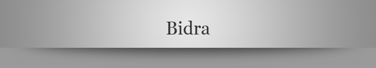 Bidra